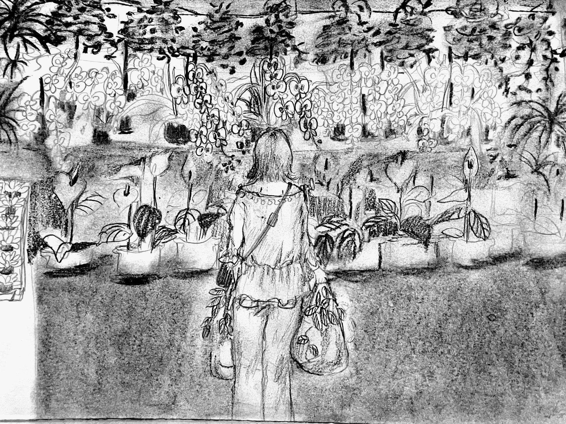 《密盒》-蘭