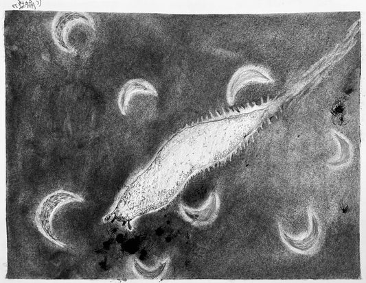 素描心聲-恬魚
